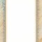 تذهیب A4 گلاسه (135 گرمی) کد 680